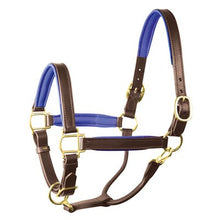 Load image into Gallery viewer, Perris 1" Leather Padded Halters