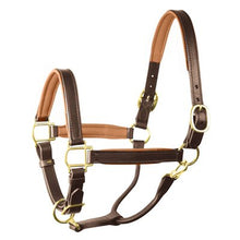 Load image into Gallery viewer, Perris 1" Leather Padded Halters