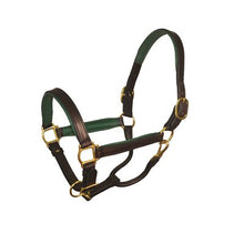 Load image into Gallery viewer, Perris 1" Leather Padded Halters