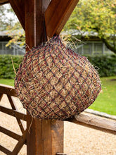 Load image into Gallery viewer, LeMieux Hungry Hippo Haynet-Ember