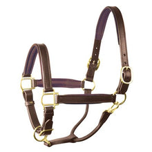 Load image into Gallery viewer, Perris 1" Leather Padded Halters