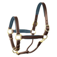 Load image into Gallery viewer, Perris 1" Leather Padded Halters