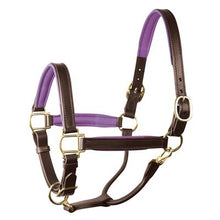 Load image into Gallery viewer, Perris 1" Leather Padded Halters