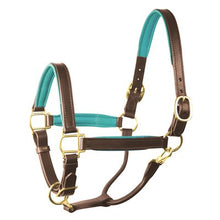 Load image into Gallery viewer, Perris 1" Leather Padded Halters