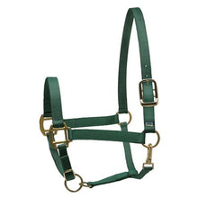 Load image into Gallery viewer, Perris Super Halter Nylon