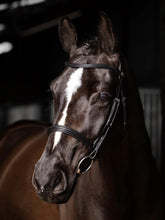 Load image into Gallery viewer, LeMieux Arika Cavesson Bridle Black/Silver