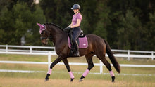 Load image into Gallery viewer, LeMieux Loire Classic Dressage Square - Large