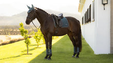 Load image into Gallery viewer, LeMieux Loire Classic Dressage Square - Large
