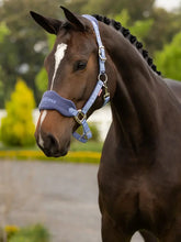 Load image into Gallery viewer, LeMieux Vogue Halter & Lead rope - Mini