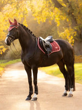 Load image into Gallery viewer, LeMeiux Loire Classic Close Contact- Large