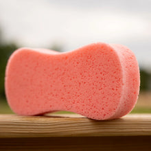 Load image into Gallery viewer, Horze Large Grooming Sponge - Pink