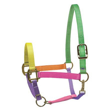 Load image into Gallery viewer, Perris Super Halter Nylon