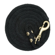 Load image into Gallery viewer, Weaver Value Nylon 8’ Lead