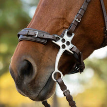 Load image into Gallery viewer, Equinavia Saga Hackamore Bridle with Rubber Reins - Chocolate Brown
