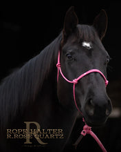 Load image into Gallery viewer, Haychix Redemption Rope Halters