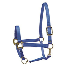 Load image into Gallery viewer, Perris Super Halter Nylon