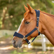 Load image into Gallery viewer, Equinavia Saga Fleece Padded Breakaway Halter