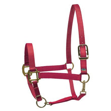 Load image into Gallery viewer, Perris Super Halter Nylon
