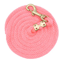 Load image into Gallery viewer, Weaver Value Nylon 8’ Lead
