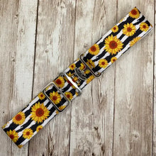 Load image into Gallery viewer, Benny Equestrian Elastic Belts