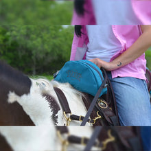 Load image into Gallery viewer, Day Tripper Pommel Bag