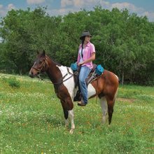 Load image into Gallery viewer, Day Tripper Bag Set Cantel Bag