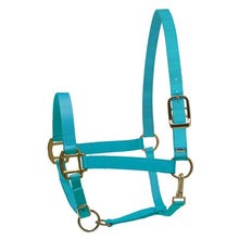 Load image into Gallery viewer, Perris Super Halter Nylon