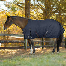 Load image into Gallery viewer, Equinavia Arktis VariFlex Turnout Blanket - Navy