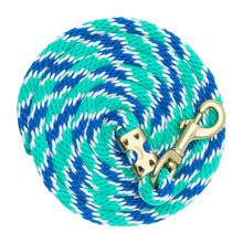 Load image into Gallery viewer, Weaver Value Nylon 8’ Lead