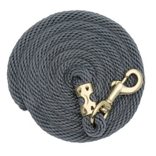 Load image into Gallery viewer, Weaver Value Nylon 8’ Lead