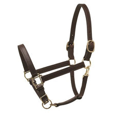 Load image into Gallery viewer, Perris 1" Turnout Halter