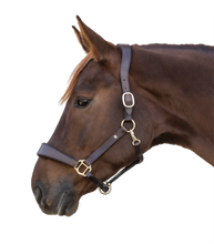 Load image into Gallery viewer, Waldhausen Ergo Halter