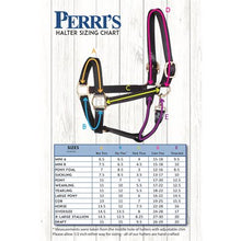 Load image into Gallery viewer, Perris 1&quot; Leather Padded Halters
