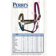 Load image into Gallery viewer, Perris 1" Leather Padded Halters