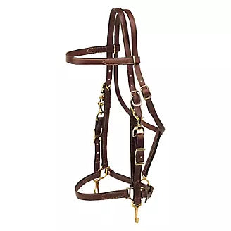 Tory Halter Bridle Combo