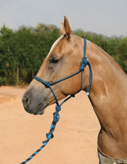 Professional Choice Rope Halter with lead