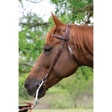 Load image into Gallery viewer, CIRCLE Y Spot Accent Browband Headstall
