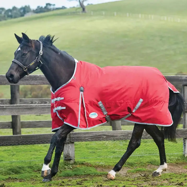 Weatherbeeta ComFiTec Classic Standard Neck Lite Red