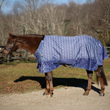 Load image into Gallery viewer, Equinavia Arktis Regular Neck Heavy Weight Turnout Blanket 300gm
