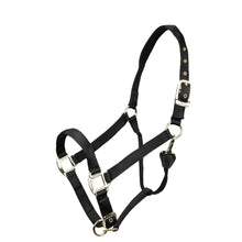 Load image into Gallery viewer, SHIRES Adjustable Nylon Halter
