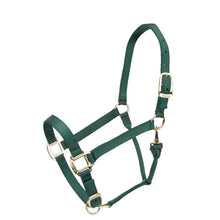 Load image into Gallery viewer, SHIRES Adjustable Nylon Halter
