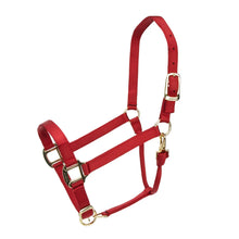Load image into Gallery viewer, SHIRES Adjustable Nylon Halter
