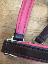 Load image into Gallery viewer, Hilltop Padded Leather Halter
