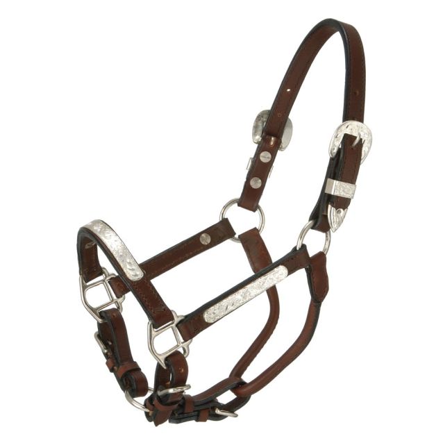 Royal King Silver Bar Show Halter - Pony