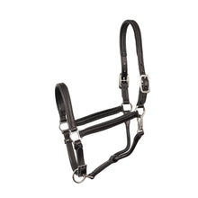 Load image into Gallery viewer, Perris Pony Leather Padded Halter
