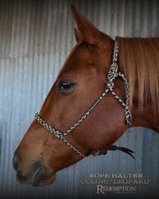 Load image into Gallery viewer, Haychix Redemption Rope Halters
