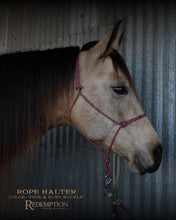 Load image into Gallery viewer, Haychix Redemption Rope Halters
