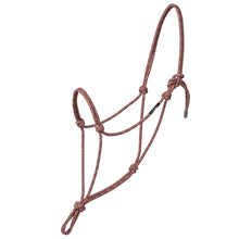 Load image into Gallery viewer, Weaver Silver Tip Rope Halter
