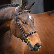 Load image into Gallery viewer, Lusso Hunter Padded Bridle

