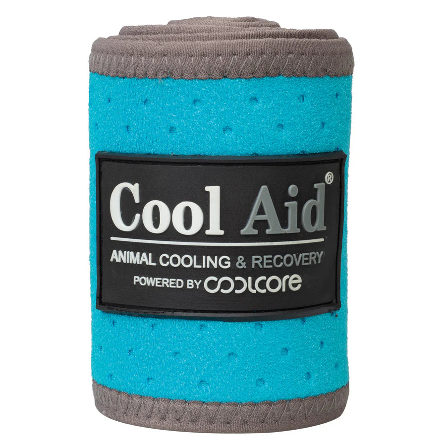 Synergy® Powered by Coolcore® Icing & Cooling Polo Wraps Blue